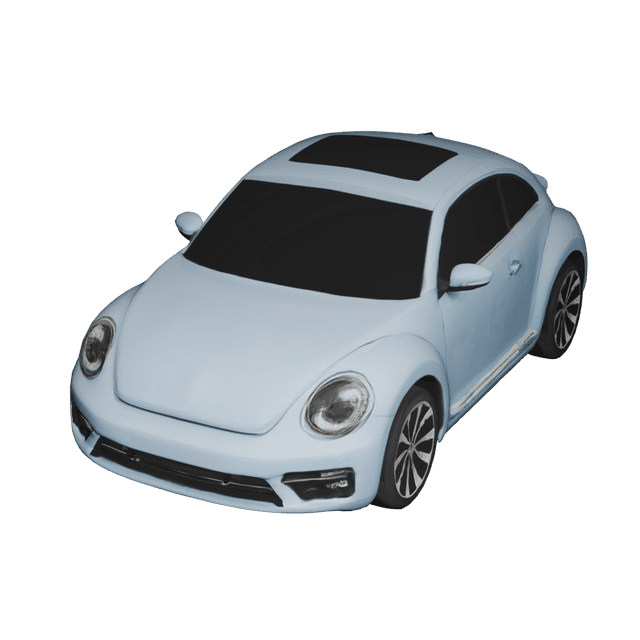 Beetle