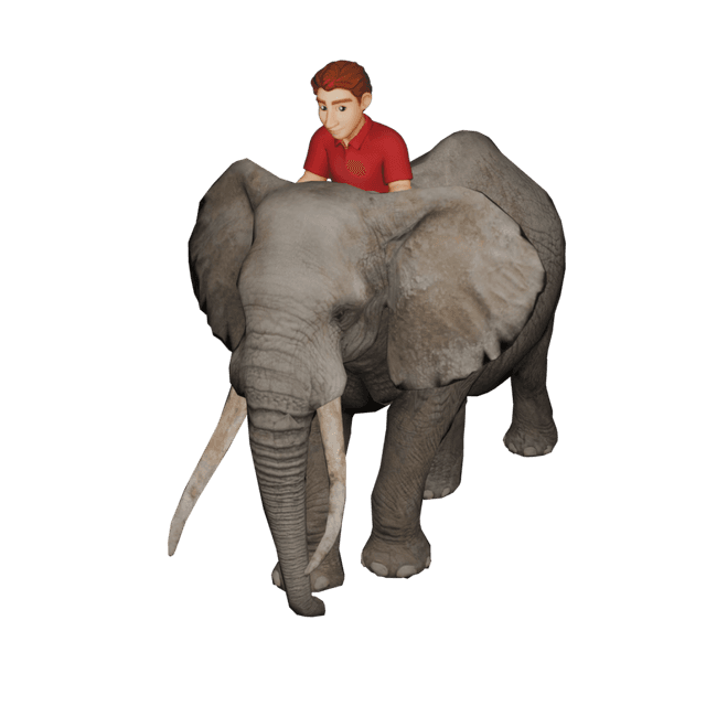 Elephant with Male