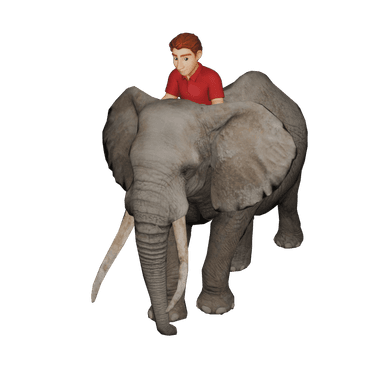 Elephant with Male 3D model for Travel Animator