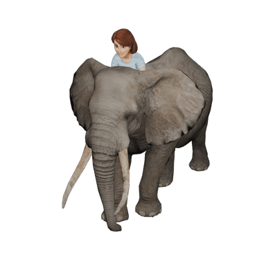Elephant with Female 3D model for Travel Animator