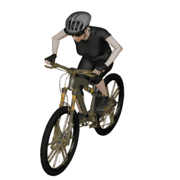 Bicycle Female