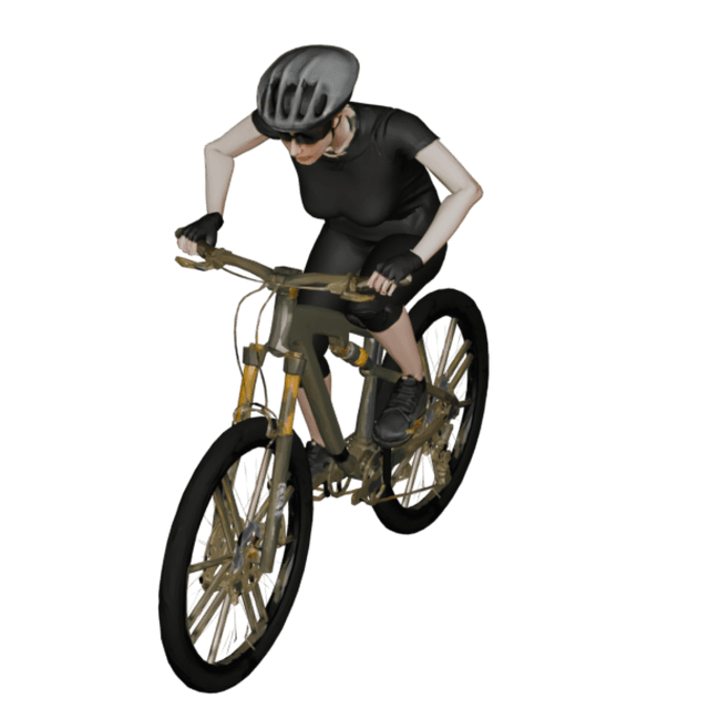 Bicycle Female 3D model