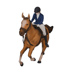 Female Horse Rider