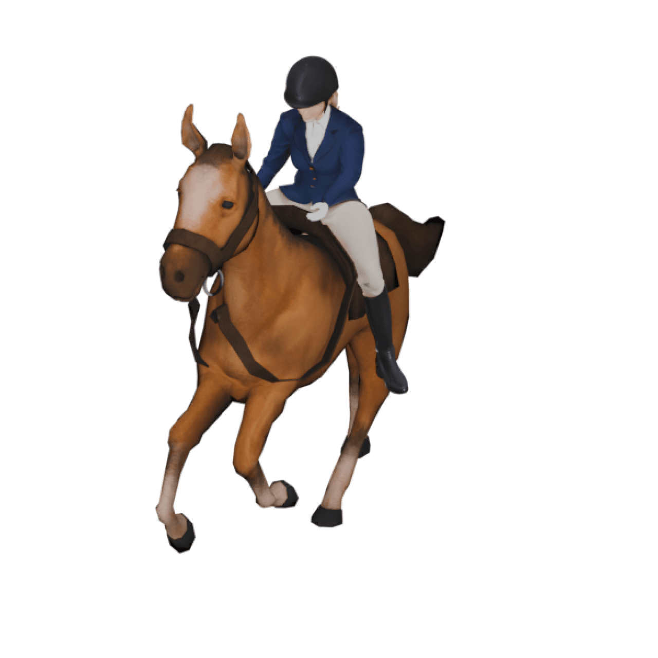 Female Horse Rider