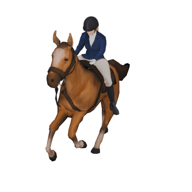 Female Horse Rider 3D model