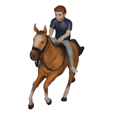 Male Horse Rider
